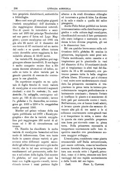 L' Italia agricola giornale di agricoltura