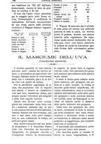 giornale/TO00210416/1908/unico/00000514