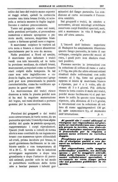 L' Italia agricola giornale di agricoltura