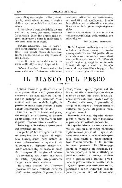 L' Italia agricola giornale di agricoltura