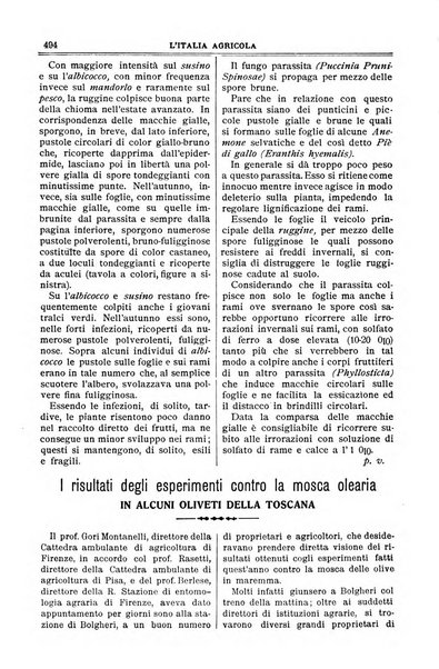 L' Italia agricola giornale di agricoltura