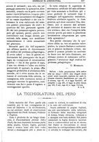 giornale/TO00210416/1908/unico/00000679