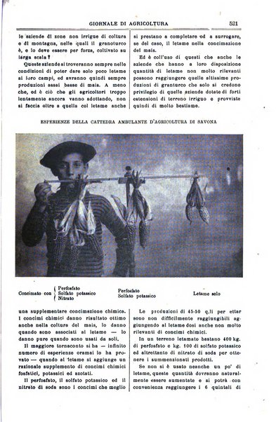 L' Italia agricola giornale di agricoltura