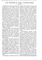 giornale/TO00210416/1908/unico/00000711