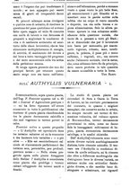 giornale/TO00210416/1908/unico/00000714