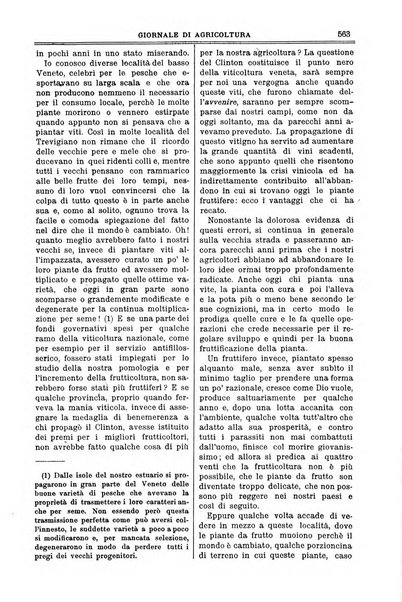 L' Italia agricola giornale di agricoltura