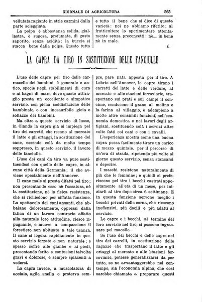 L' Italia agricola giornale di agricoltura