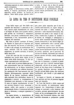 giornale/TO00210416/1908/unico/00000743