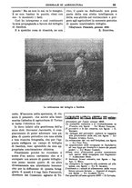 giornale/TO00210416/1909/unico/00000067