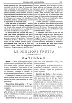 giornale/TO00210416/1909/unico/00000201