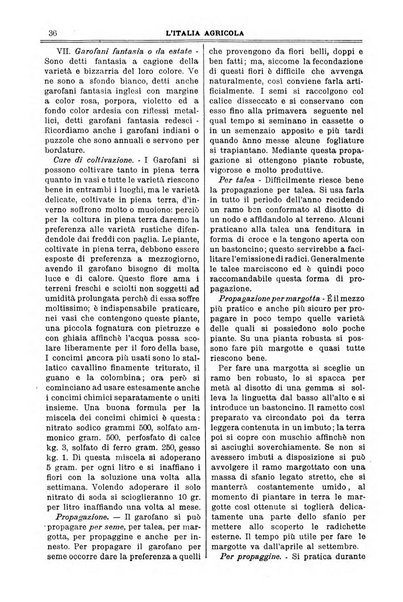 L' Italia agricola giornale di agricoltura