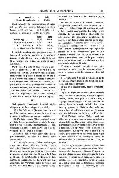 L' Italia agricola giornale di agricoltura