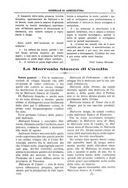 L' Italia agricola giornale di agricoltura