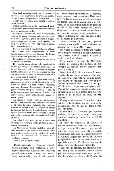 L' Italia agricola giornale di agricoltura