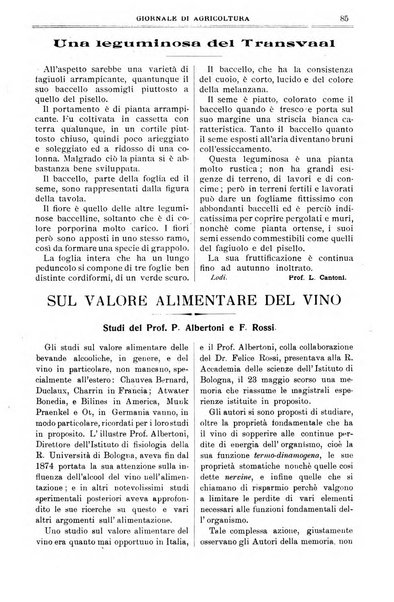 L' Italia agricola giornale di agricoltura