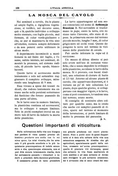 L' Italia agricola giornale di agricoltura