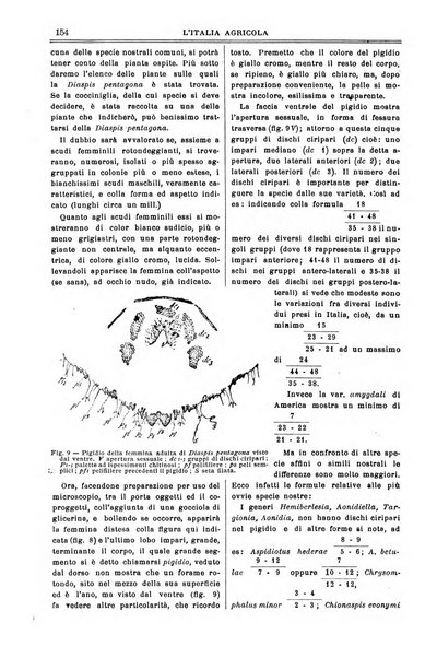 L' Italia agricola giornale di agricoltura