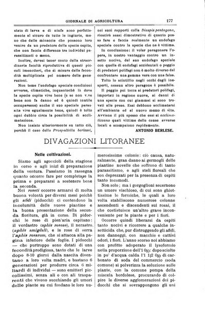 L' Italia agricola giornale di agricoltura