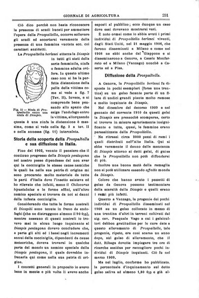 L' Italia agricola giornale di agricoltura