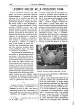 giornale/TO00210416/1910/unico/00000438