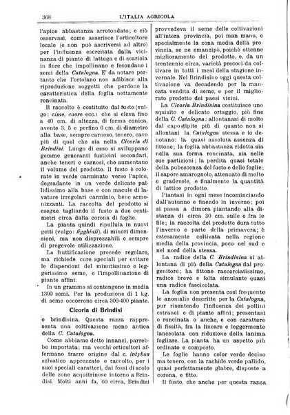 L' Italia agricola giornale di agricoltura