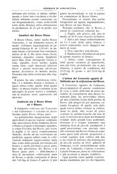 L' Italia agricola giornale di agricoltura