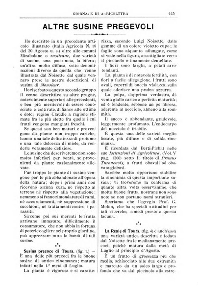 L' Italia agricola giornale di agricoltura