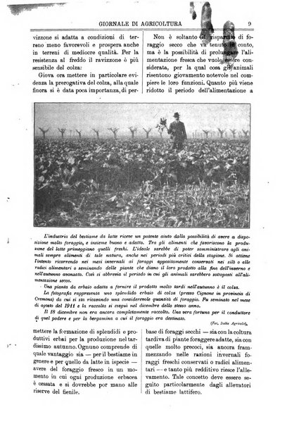 L' Italia agricola giornale di agricoltura