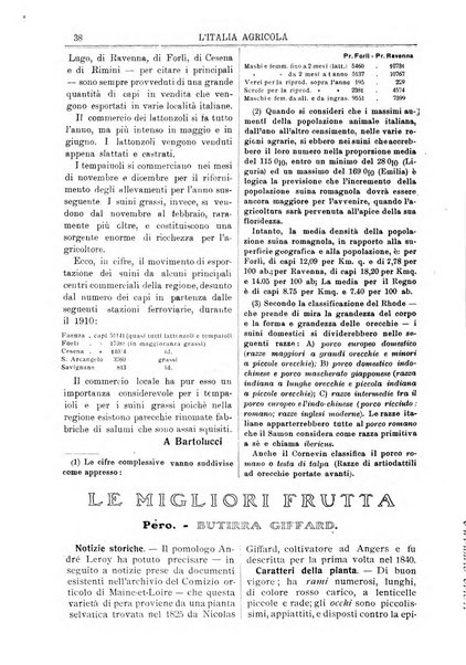 L' Italia agricola giornale di agricoltura