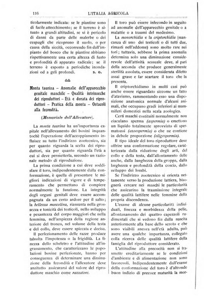 L' Italia agricola giornale di agricoltura