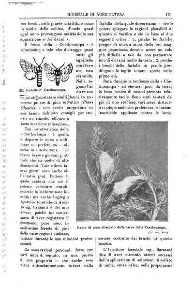 L' Italia agricola giornale di agricoltura