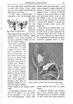 giornale/TO00210416/1912/unico/00000231