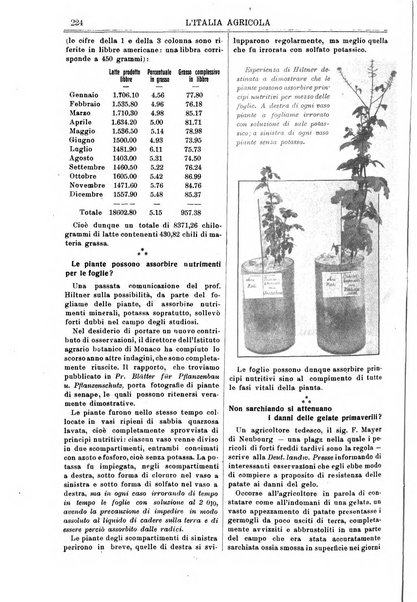 L' Italia agricola giornale di agricoltura