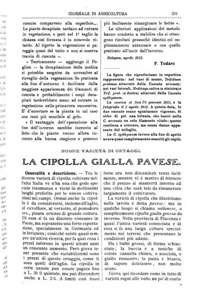 L' Italia agricola giornale di agricoltura