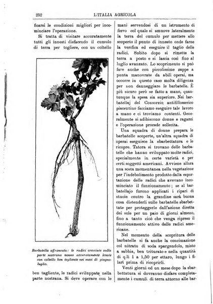 L' Italia agricola giornale di agricoltura