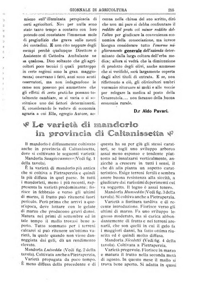 L' Italia agricola giornale di agricoltura