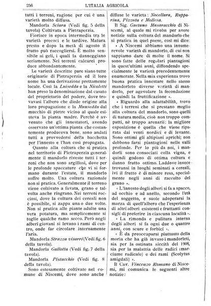 L' Italia agricola giornale di agricoltura