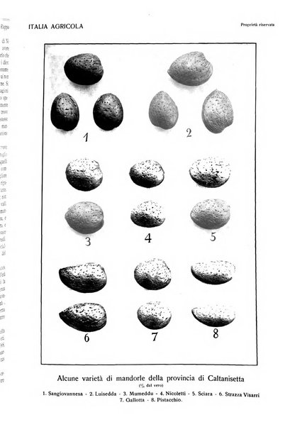L' Italia agricola giornale di agricoltura