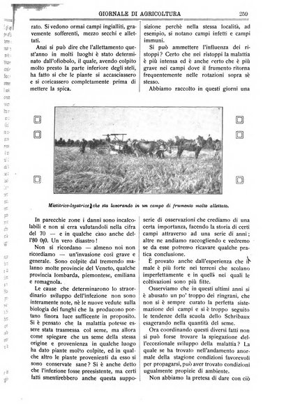 L' Italia agricola giornale di agricoltura