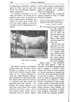 giornale/TO00210416/1912/unico/00000352