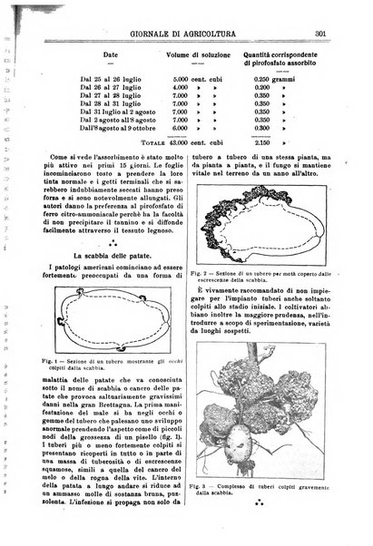 L' Italia agricola giornale di agricoltura