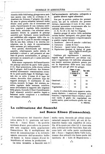 L' Italia agricola giornale di agricoltura