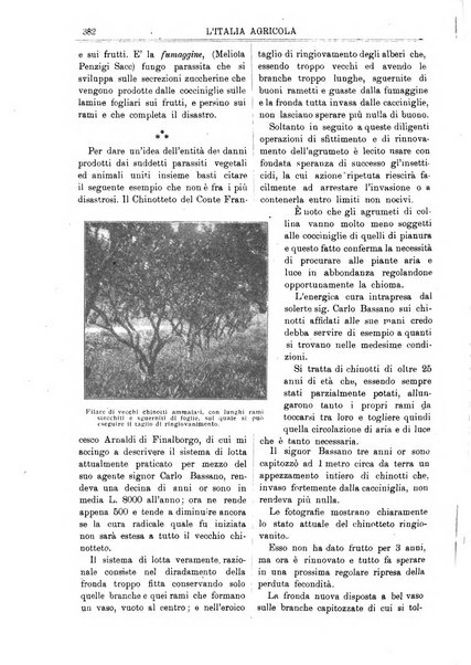 L' Italia agricola giornale di agricoltura