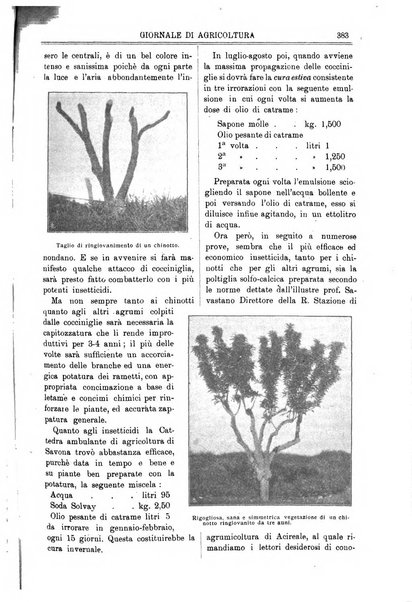 L' Italia agricola giornale di agricoltura