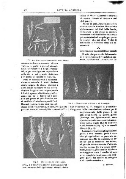 L' Italia agricola giornale di agricoltura