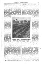 giornale/TO00210416/1912/unico/00000545