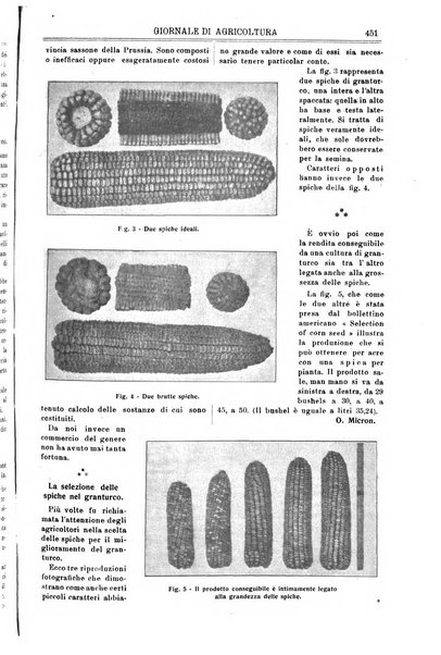 L' Italia agricola giornale di agricoltura