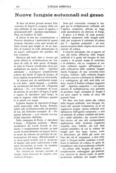 L' Italia agricola giornale di agricoltura