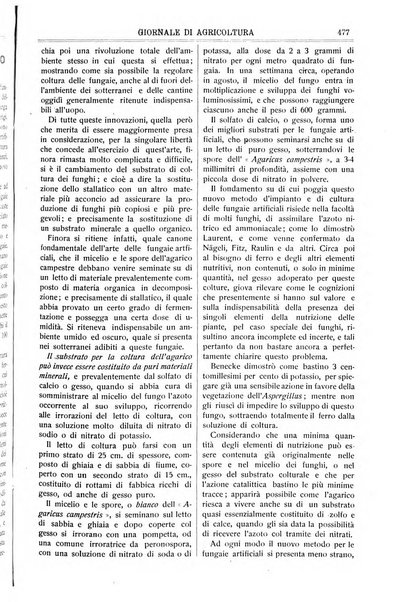 L' Italia agricola giornale di agricoltura