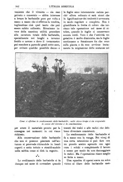 L' Italia agricola giornale di agricoltura